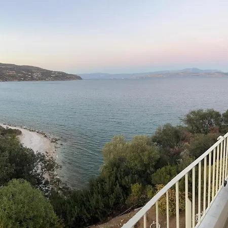 Xenia *