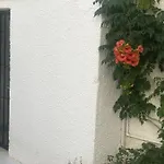 Xenia *