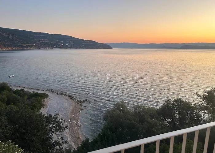 Xenia * Ксиропигадо