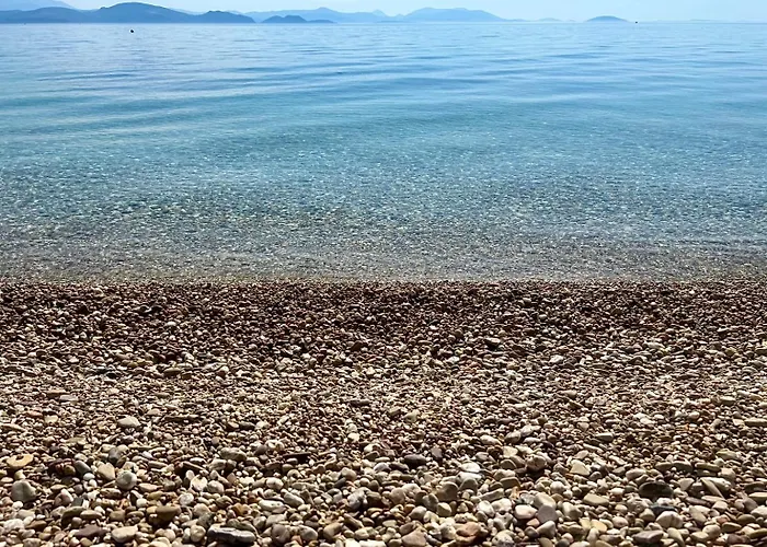 Xenia Апартаменты